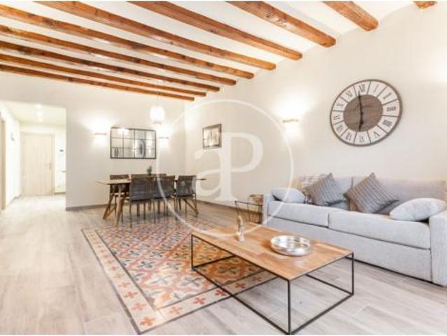 Apartamento Alquiler Barcelona Capital, Sant Pere Santa Caterina La Ribera