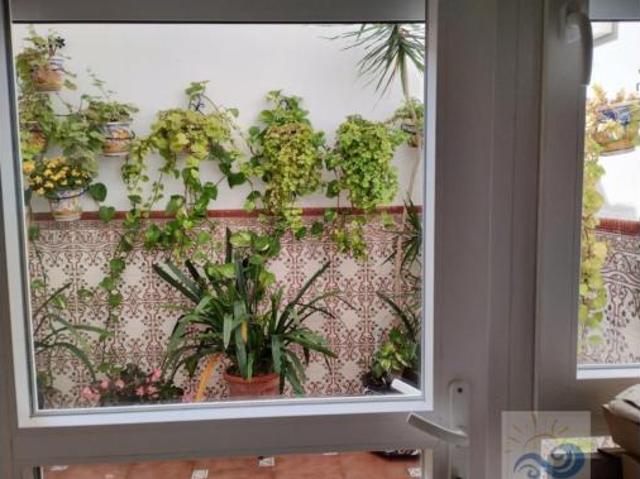 Apartamento Alquiler Cádiz Capital, Playa de la Victoria
