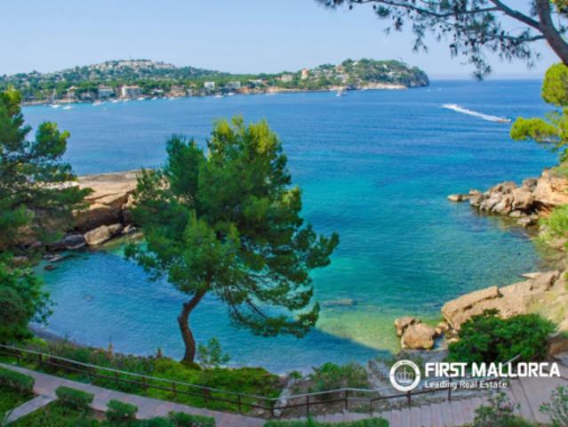 Apartamento Alquiler Calvià, Costa de la Calma