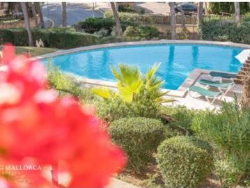 Apartamento Alquiler Calvià, Peguera