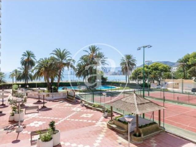 Apartamento Alquiler Cullera, Cullera