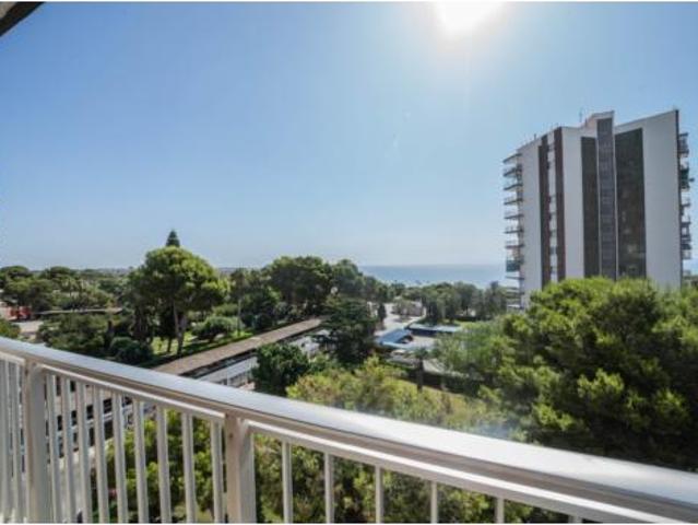 Apartamento Alquiler Dolores, Dolores
