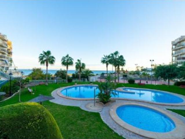 Apartamento Alquiler El Campello, Norte Venta Lanuza Cala d'Or