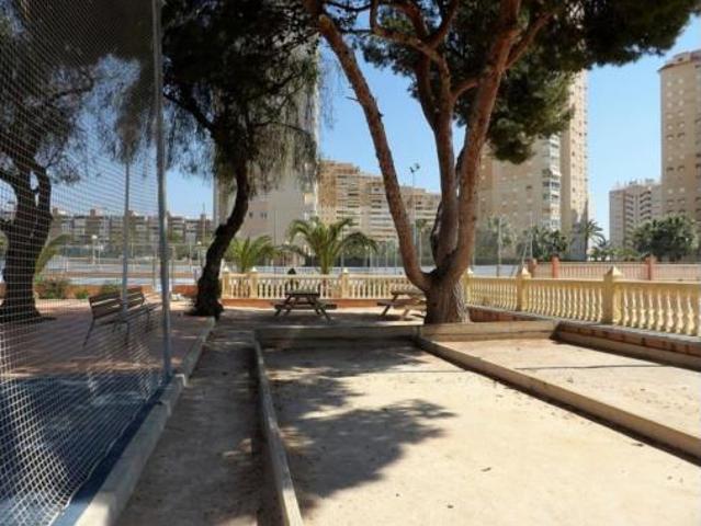 Apartamento Alquiler El Campello, Platja Muchavista