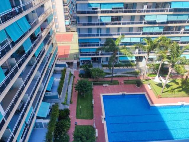 Apartamento Alquiler Gandia, Playa de Gandia