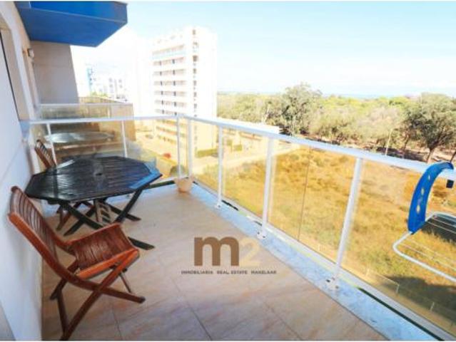 Apartamento Alquiler Guardamar del Segura, Zona Puerto Deportivo