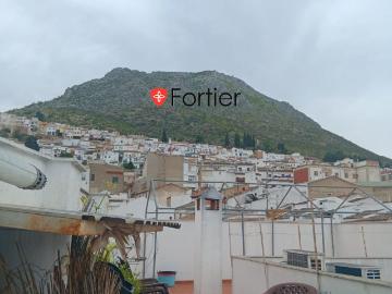 Avenida de los Aceituneros, Martos, Jaén, Andalucía, Andalucía
