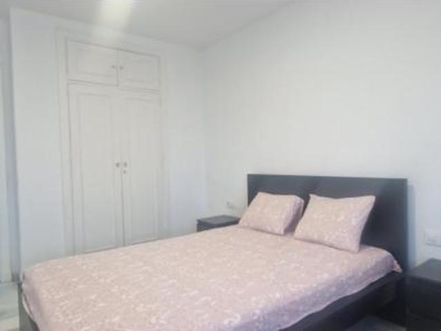 Apartamento Alquiler Jerez de la Frontera, Norte