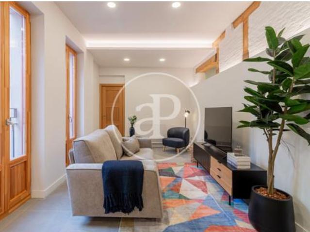 Apartamento Alquiler Madrid Capital, Embajadores Lavapiés
