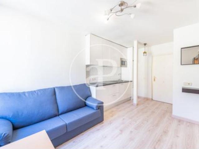 Apartamento Alquiler Madrid Capital, Embajadores Lavapiés