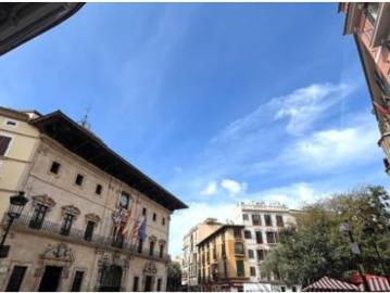Apartamento en alquiler en Passeig des Born - Ascensor