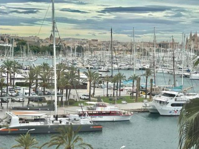 Apartamento Alquiler Palma de Mallorca, Passeig Marítim