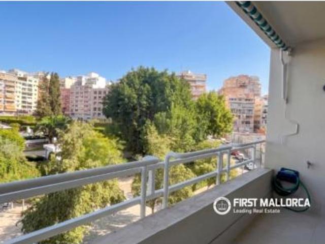 Apartamento Alquiler Palma de Mallorca, Son Armadans