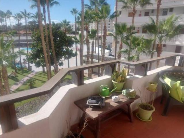 Apartamento Alquiler San Bartolomé de Tirajana, Playa del Inglés