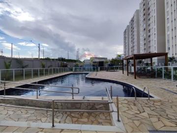 Apartamento Aluguel, Condomínio Postal dos Eucaliptos, Hortolândia / SP