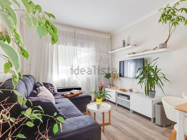 Apartamento, Amora