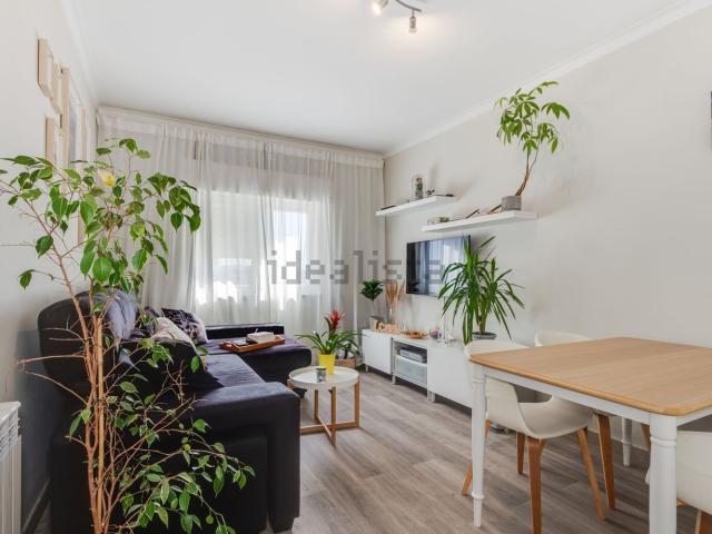 Apartamento, Amora