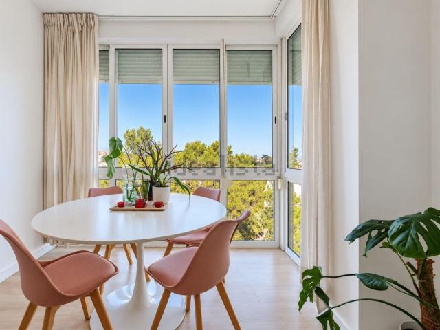 Apartamento, Amora