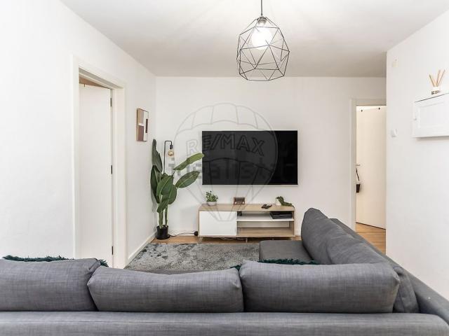 Apartamento, Amora