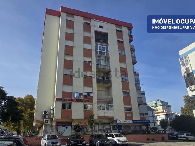 Apartamento, Amora