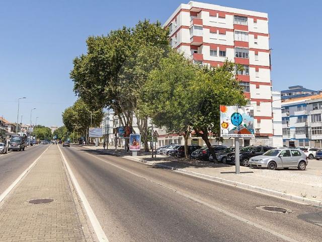 Apartamento, Amora