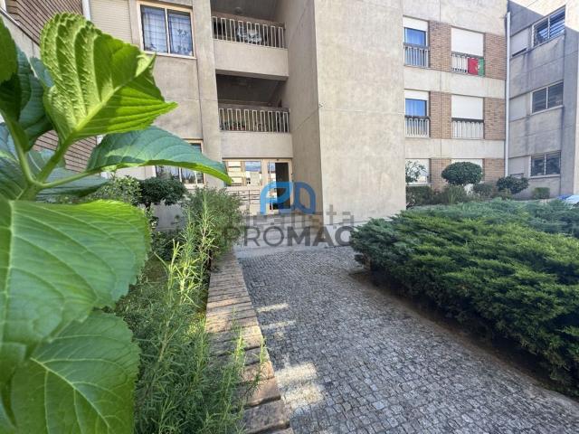 Apartamento, Amarante São Gonçalo Madalena Cepelos Gatão