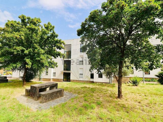 Apartamento, Arcozelo
