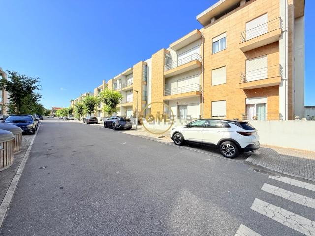 Apartamento, Árvore