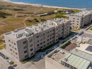 Apartamento, Árvore