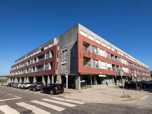 Apartamento, Aves