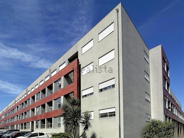 Apartamento, Aves