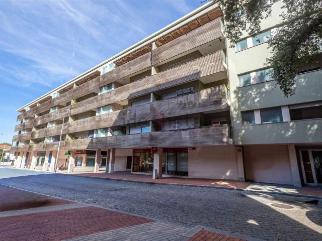 Apartamento, Aves