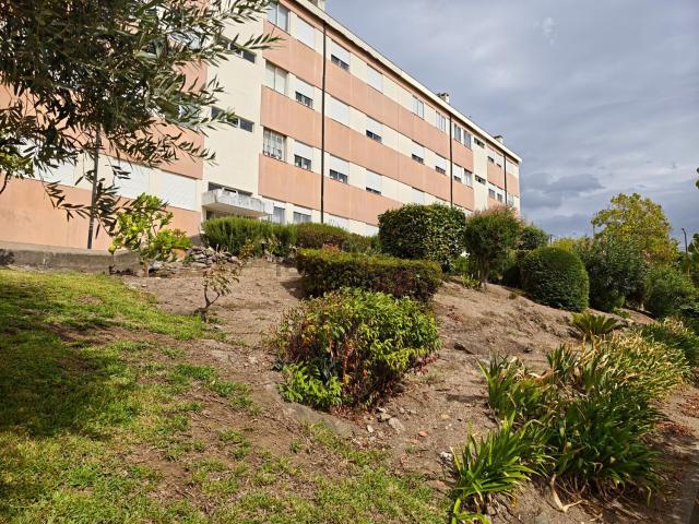 Apartamento, Aves