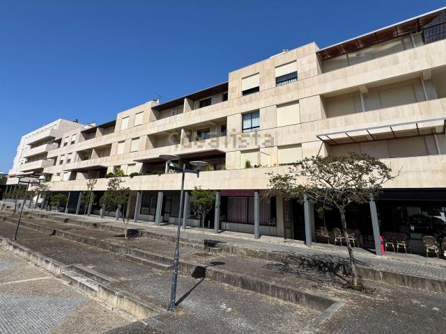 Apartamento, Aves