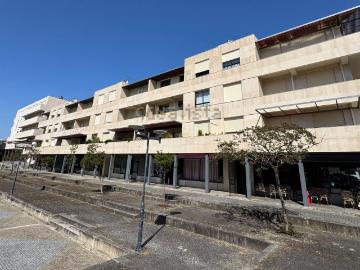 Apartamento, Aves