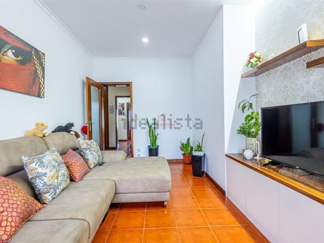 Apartamento, Aves