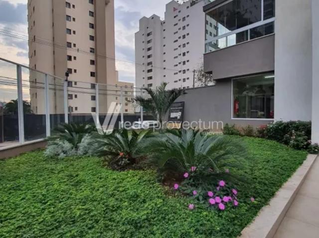 Apartamento Cambuí Campinas