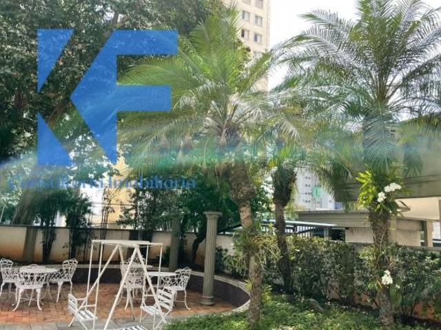 Apartamento, Cambuí, Campinas, SP