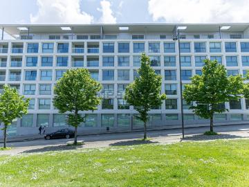 Alameda Das Antas, Campanhã, Porto, Distrito de Porto