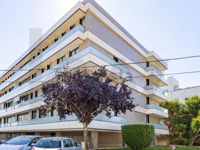 Apartamento, Canelas