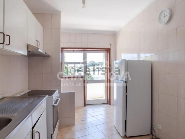 Apartamento, Canelas