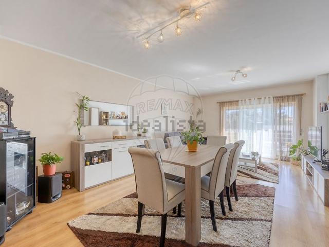 Apartamento, Canelas