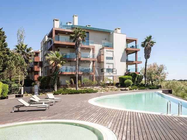 Apartamento, Carvalhal