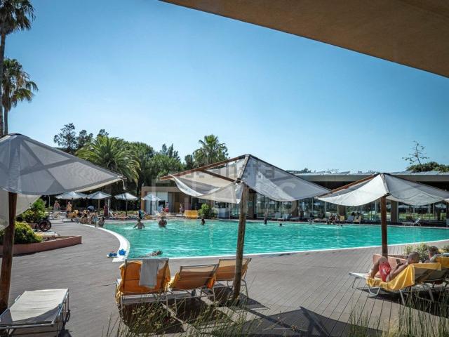 Apartamento, Carvalhal