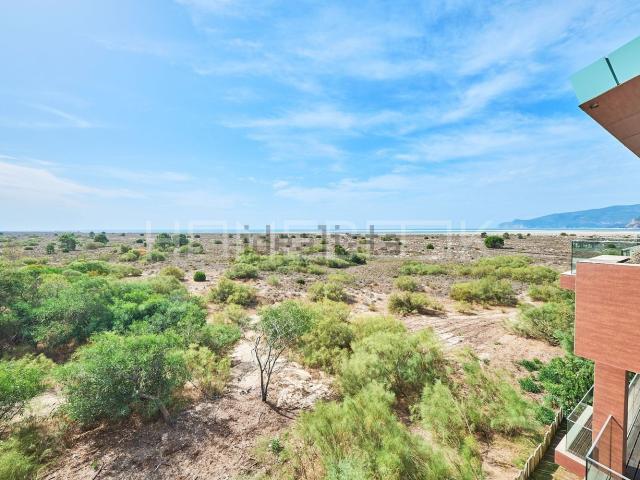 Apartamento, Carvalhal