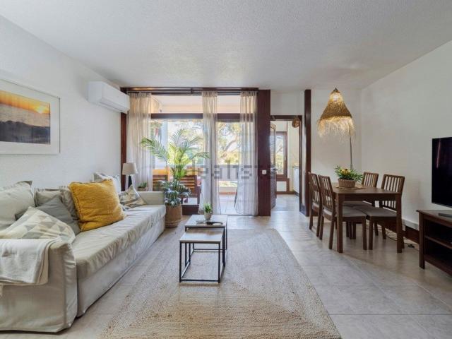 Apartamento, Carvalhal