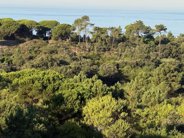 Apartamento, Charneca da Caparica e Sobreda