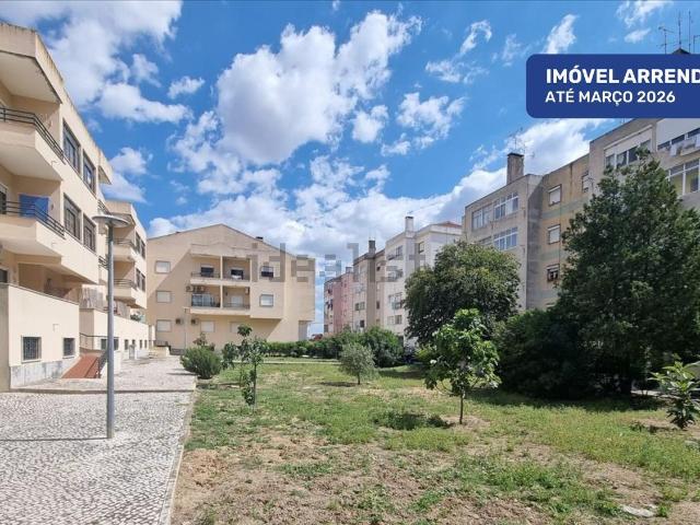 Apartamento, Cidade de Santarém