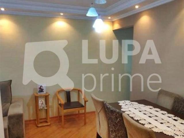 APARTAMENTO COM 3 QUARTOS PARA VENDA, VILA AMÁLIA, SÃO PAULO