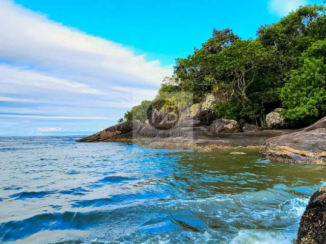 Apartamento com 1 quarto para alugar na Avenida São João, 516, Cidade Balneária Nova Peruibe, Peruíbe